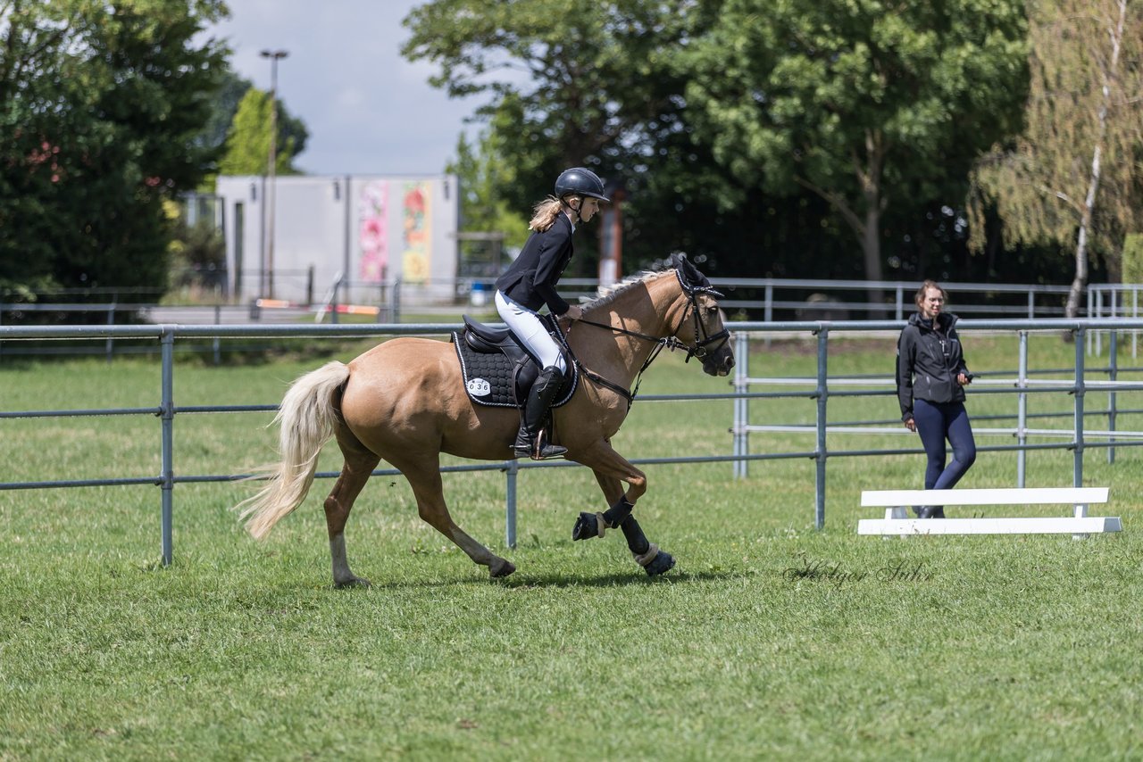 Bild 16 - Pony Akademie Turnier